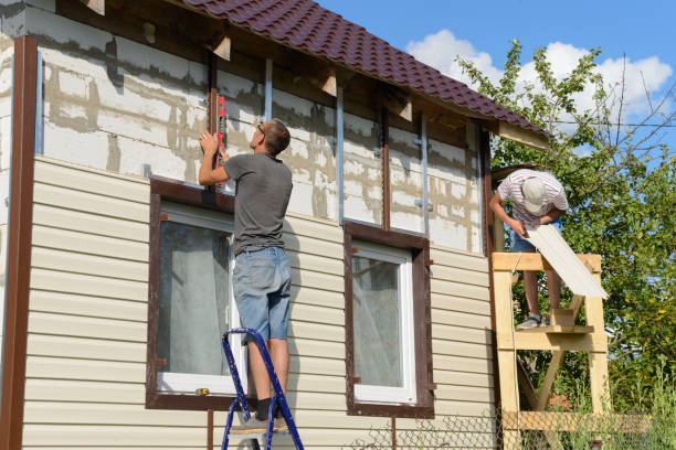 Best Engineered Wood Siding  in Rock Valley, IA