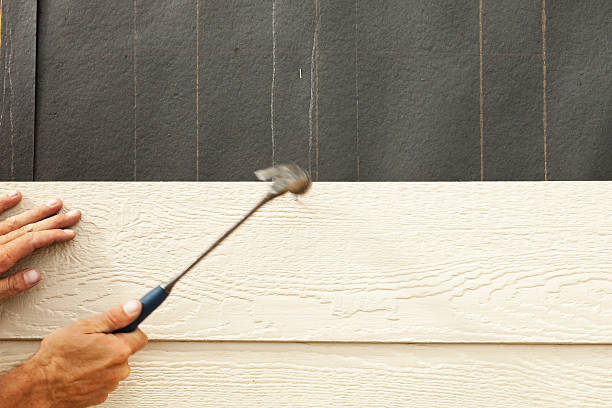 Affordable Siding Repair and Maintenance Services in Rock Valley, IA